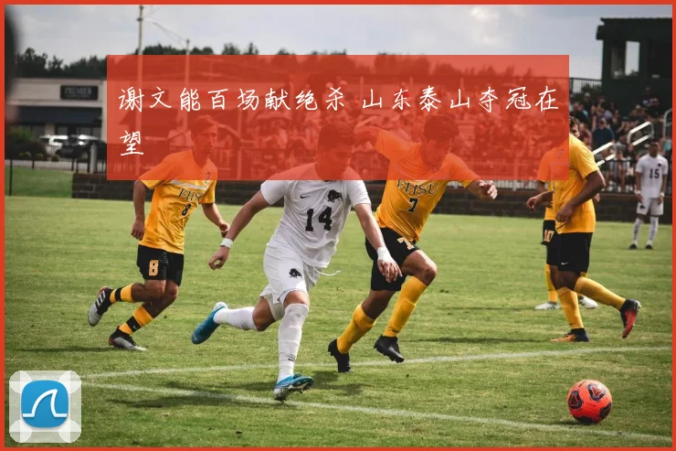 谢文能百场献绝杀 山东泰山夺冠在望