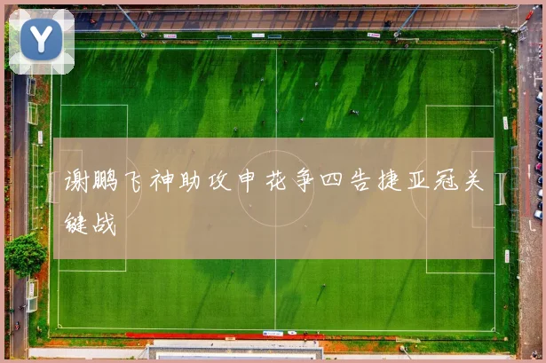 谢鹏飞神助攻申花争四告捷亚冠关键战