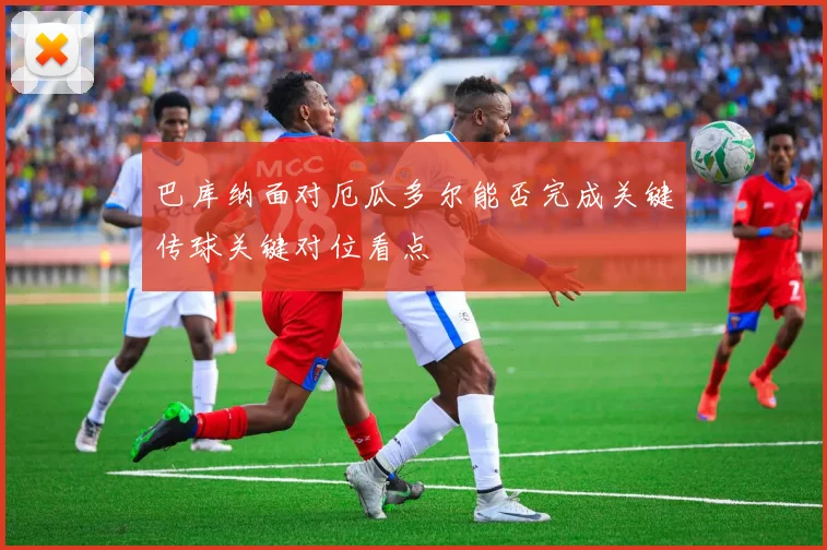 巴库纳面对厄瓜多尔能否完成关键传球关键对位看点