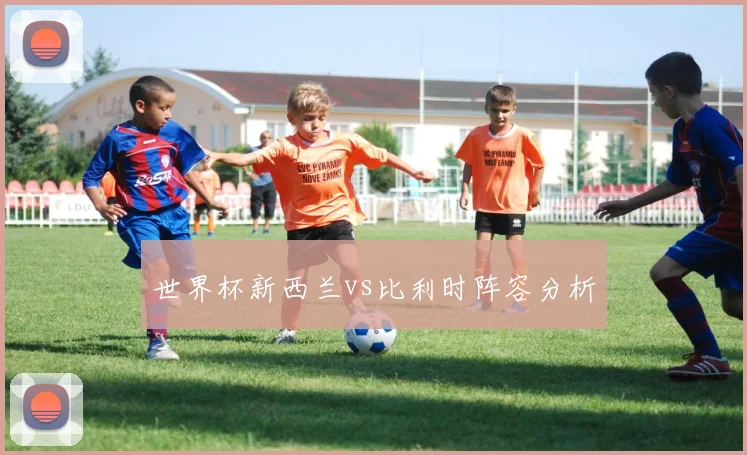 世界杯新西兰vs比利时阵容分析