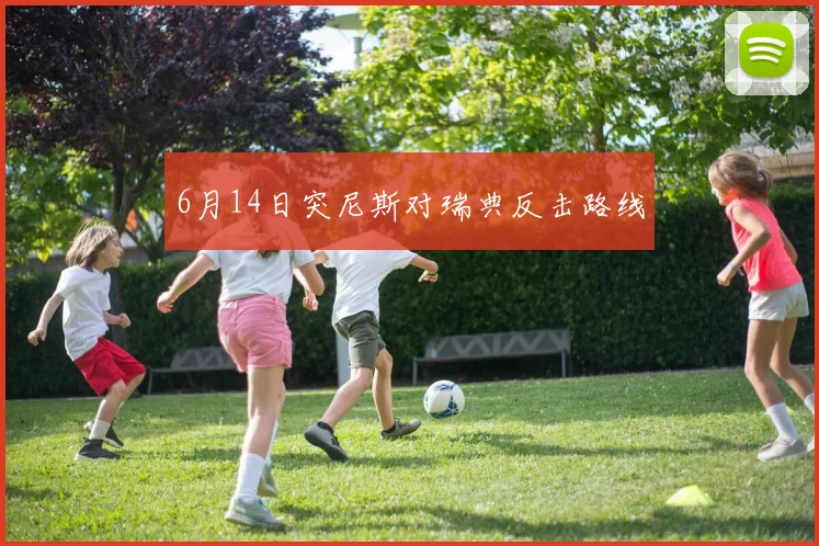 6月14日突尼斯对瑞典反击路线