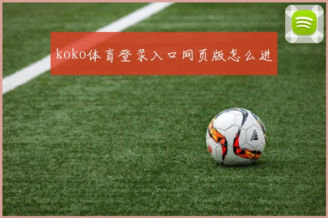 koko体育登录入口网页版怎么进